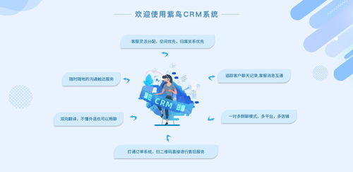 電商行業(yè)CRM云客服管理系統(tǒng)選哪家？紫鳥云客服——互聯(lián)網(wǎng)信息技術(shù)服務(wù)的卓越選擇