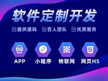 雷州網(wǎng)站建設(shè)與湛江軟件開發(fā) 數(shù)字化時(shí)代的企業(yè)引擎